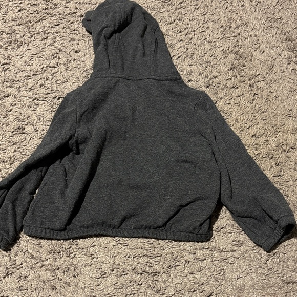Gymboree Gray Hoodie with Pink Interior - Picture 3 of 3